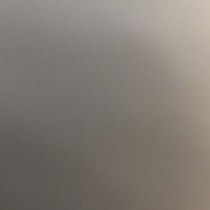 Meet your Posher, Raina